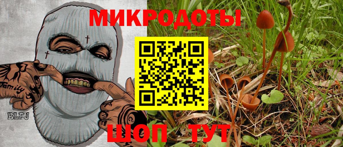 наркотики  Псилоцибиновые грибы Cubensis  Вход с VPN  Петропавловск-Камчатский 